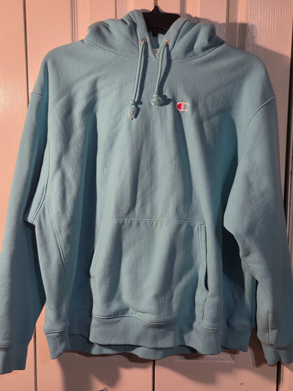 Champion Light Teal/Blue Hoodie Sweatshirt, 3X